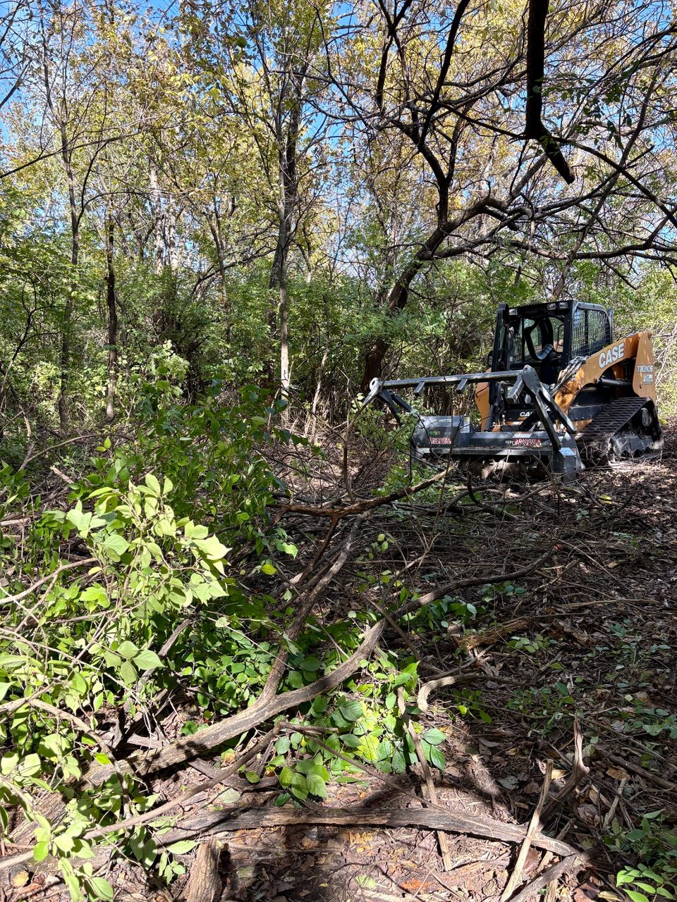 Forestry mulcher cutting through thick brush and small trees